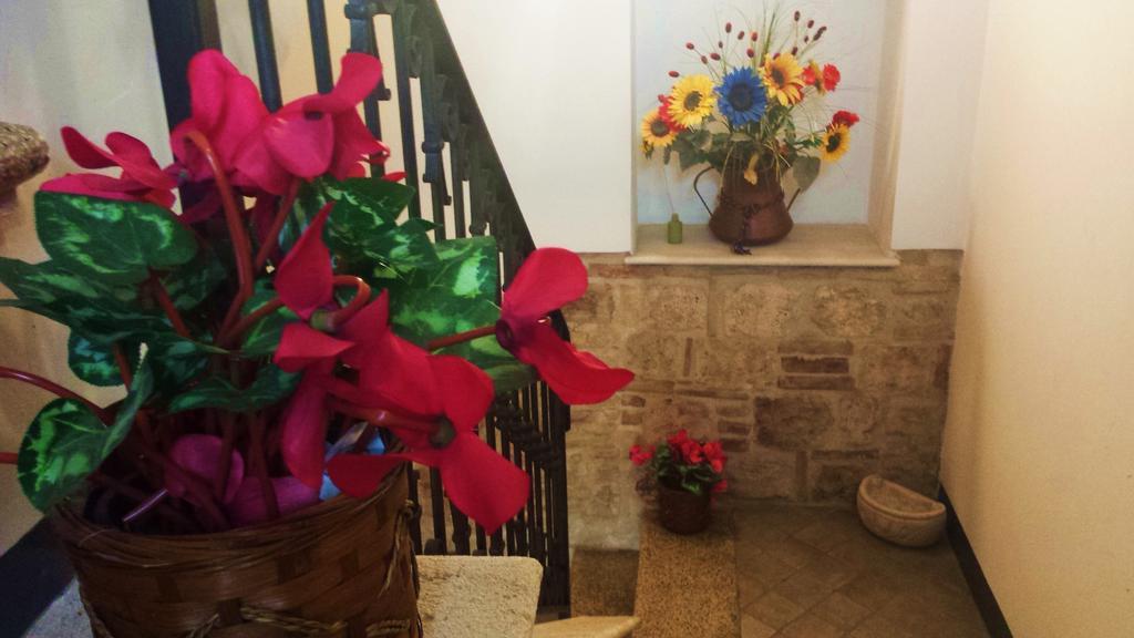 Il Ciclamino Bed And Breakfast Ascoli Piceno Exteriör bild